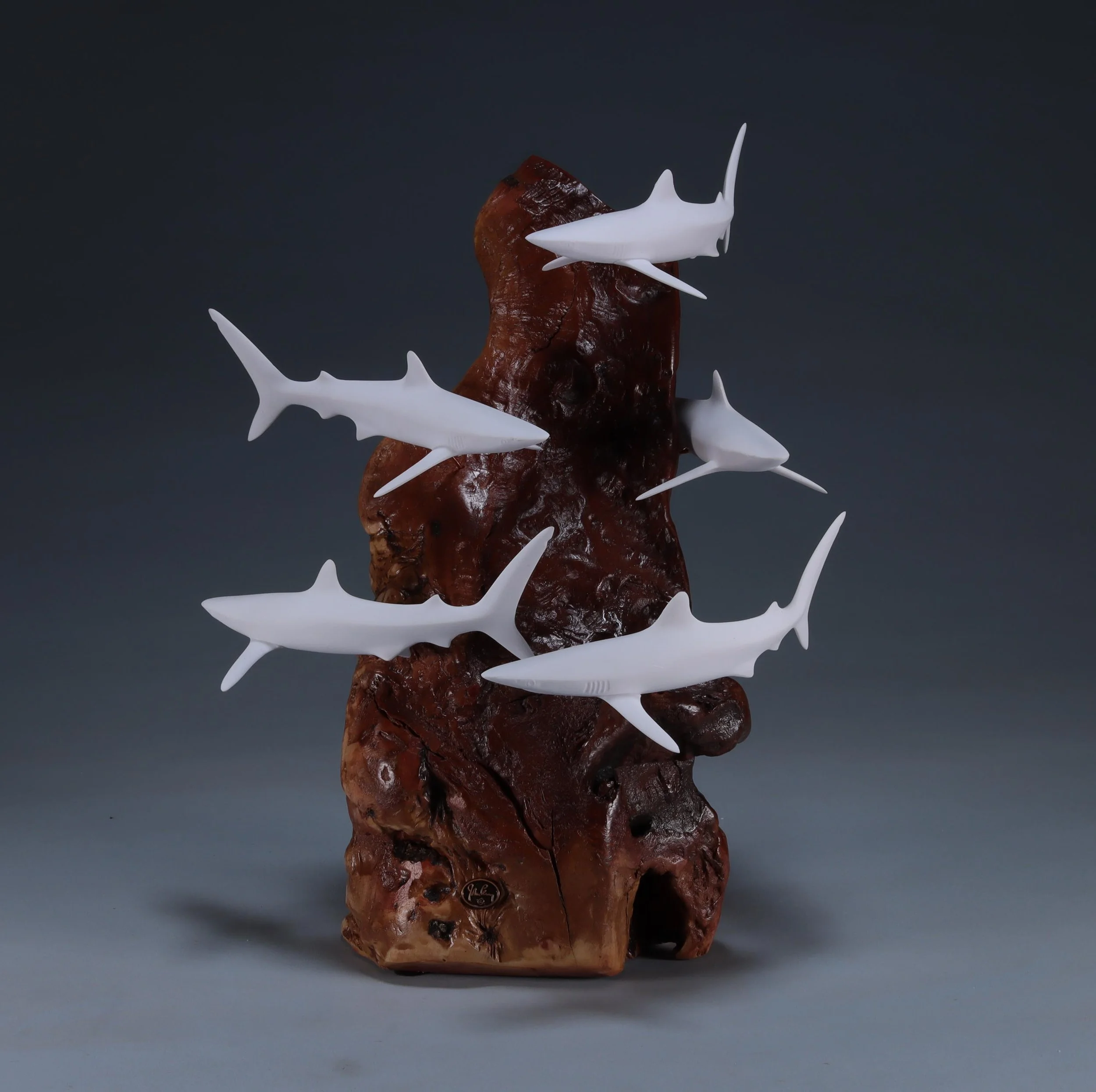 School of Blue Sharks Sculpture (5 Sharks) 11in Tall Pellucida on